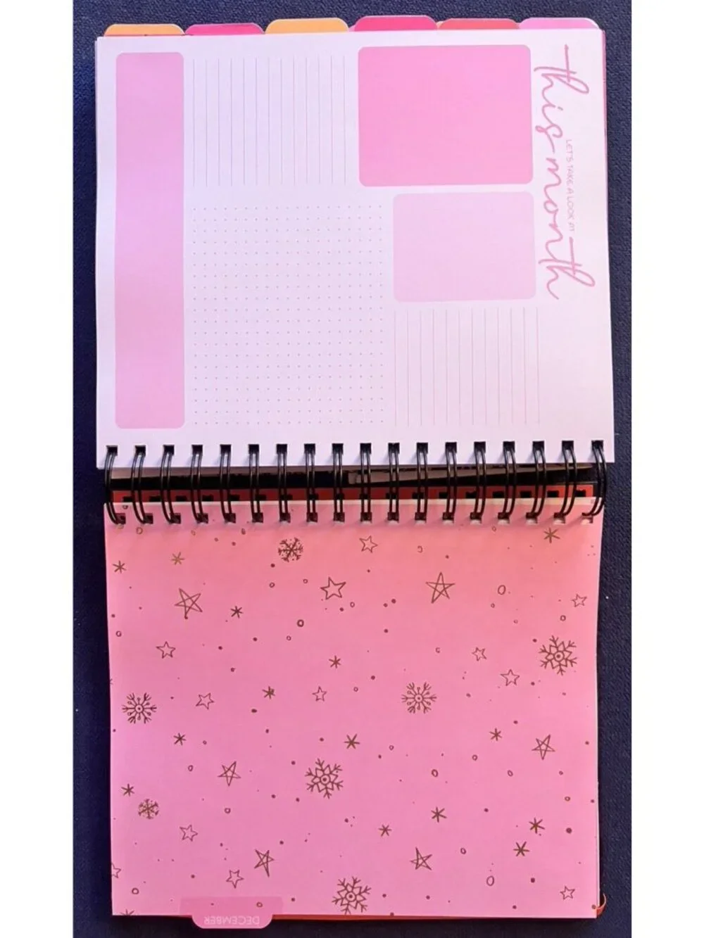 SKULL & ROSES 17 Month 2026-2027 Planner Month Day Week Organizer Planning Note